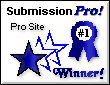 Pro Site Award